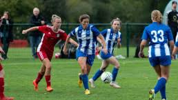 Image result for Cranleigh Ladies Hockey Club