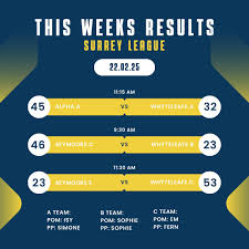 Image result for Whyteleafe Netball Club