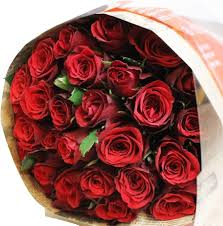 「花薔薇エルフ」の画像検索結果