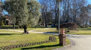 Image result for "Parco Ciani"