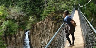 Image result for Lincoln City