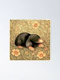 Attēlu rezultāti vaicājumam “Talpa europaea”