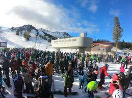 Image result for Go Mammoth