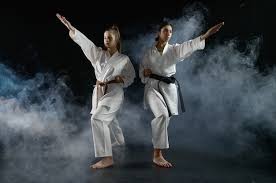 Image result for Action Karate