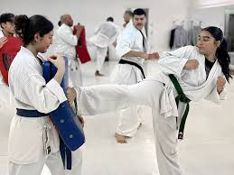 Image result for Phoenix Martial Arts