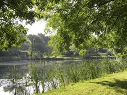 Image result for Bungay & Waveney Valley Golf Club