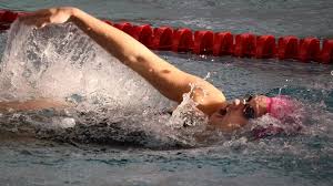 Image result for Maverick Divers