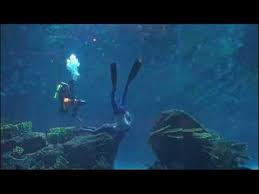 Image result for Notanx Freedive Club