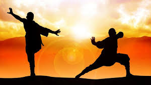 Image result for kung fu