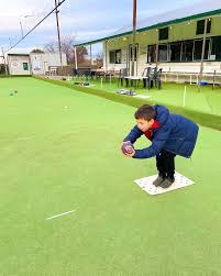 Image result for Hotham Bowls Club