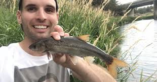 Image result for Mylopharodon conocephalus