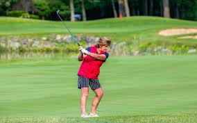 Image result for Ipswich Sports Club