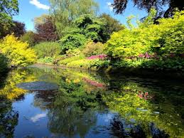 Image result for Dunham Massey Angling Club