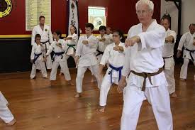 Image result for Everitt Karate Academy