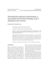 Attēlu rezultāti vaicājumam “Anastrophyllum hellerianum”