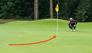 Image result for Royston Golf Club Ltd