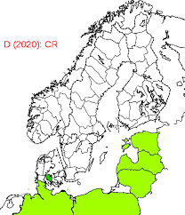 Attēlu rezultāti vaicājumam “Hoplia graminicola”