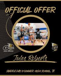 Image result for Hinckley & Bosworth Lady Hoops Basketball Club