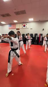Image result for TopKick Martial Arts Center Leesburg