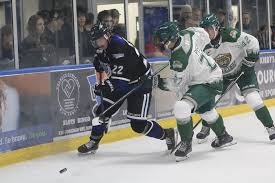 Image result for Pontypool Skater Hockey Club