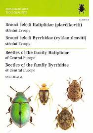 Attēlu rezultāti vaicājumam “Byrrhidae”