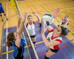 Image result for Woughton Ladies Badminton Club