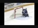2008–09 Nhl Season
