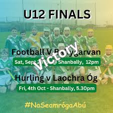 Image result for Shamrocks Hurling & Football Club