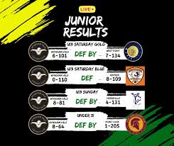 Image result for Wandham Cricket Club