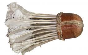 Image result for Feathers Badminton- Leatherhead