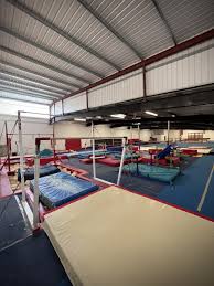 Image result for Cardiff Olympic Gymnastics Club