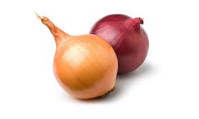 Image result for Zwiebeln