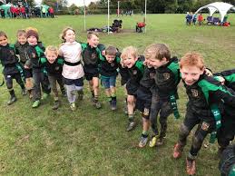 Image result for Alresford Rugby Club