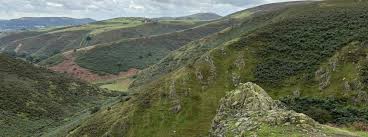 Image result for Long Mynd