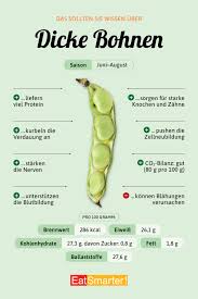 Image result for Dicke Bohnen