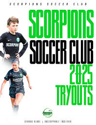 Image result for South Shore Cricket & Squash Club(Inc Scorpions Amateur Rugby League Club)