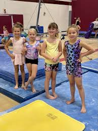 Image result for Wyre Forest School Of Gymnastics