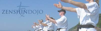 Image result for Zen Shin Seicho Do Adult Karate