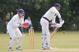 Image result for Ivybridge Cricket Club