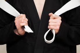 Image result for Intelligent Martial Arts