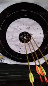 Image result for Castle Field Archers
