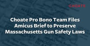 Image result for Baxter AMICUS