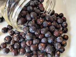 Attēlu rezultāti vaicājumam “Juniperus communis fruit”