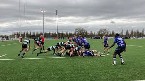 Image result for Lymm Rugby Union Football Club