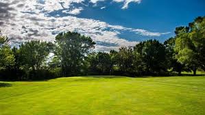 Image result for Nelson Cc