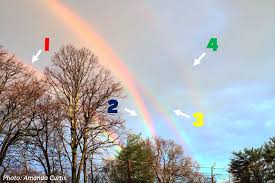 Attēlu rezultāti vaicājumam “Red Rainbows”