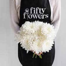 Image result for Dahlia `Snowflake`