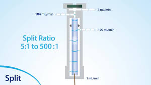 Image result for Splitz Gc