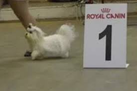 Image result for site:buyreklama.ru/*