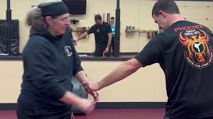 Image result for Phoenix Martial Arts